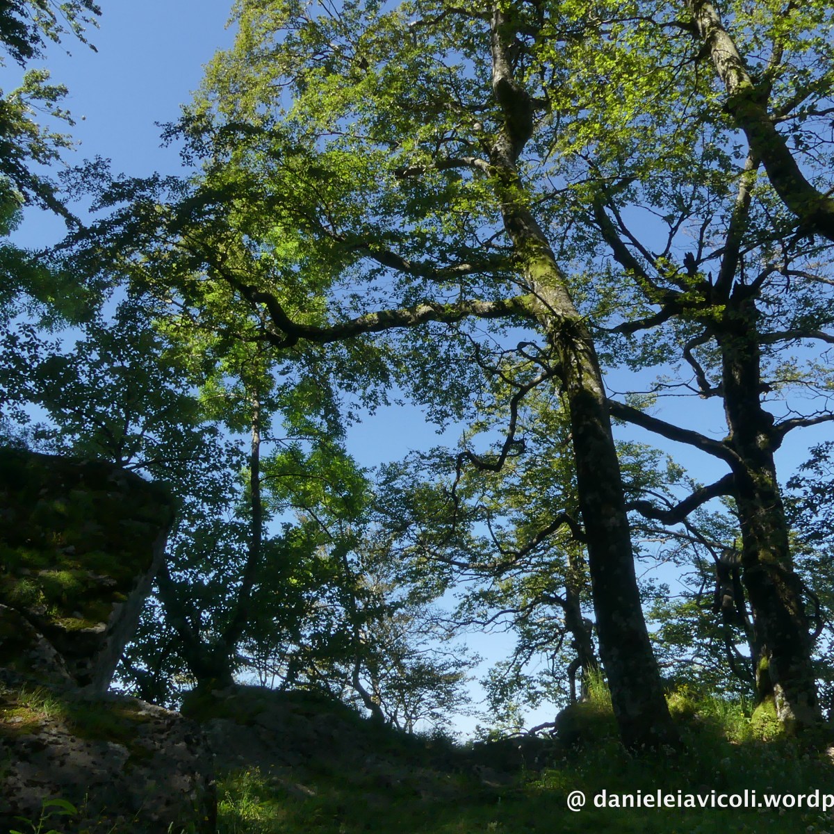 Luoghi sacri dell’Appennino