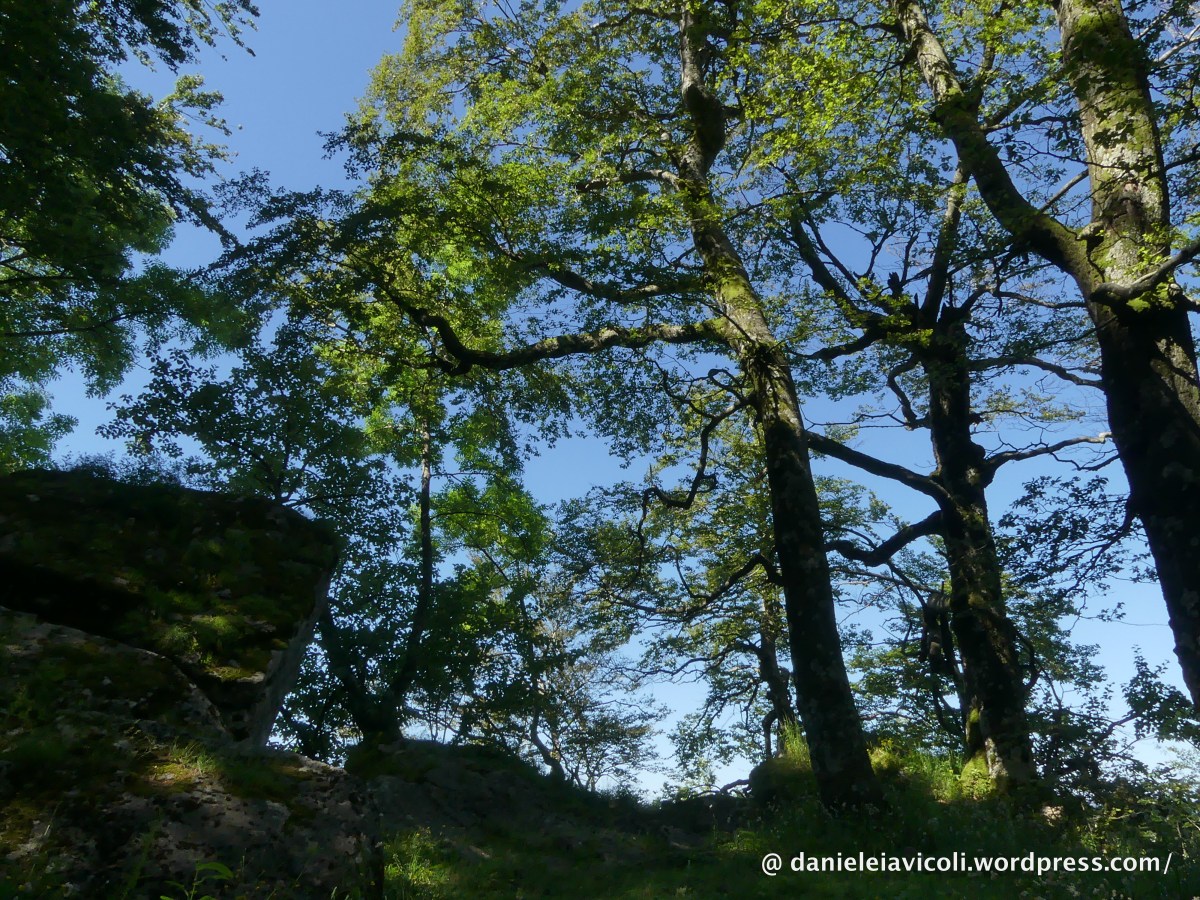 Luoghi sacri dell’Appennino