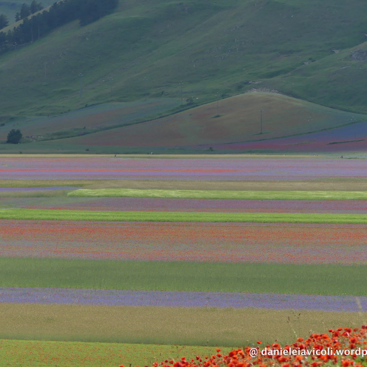 Da Castelluccio di Norcia a Palazzo&nbsp;Borghese