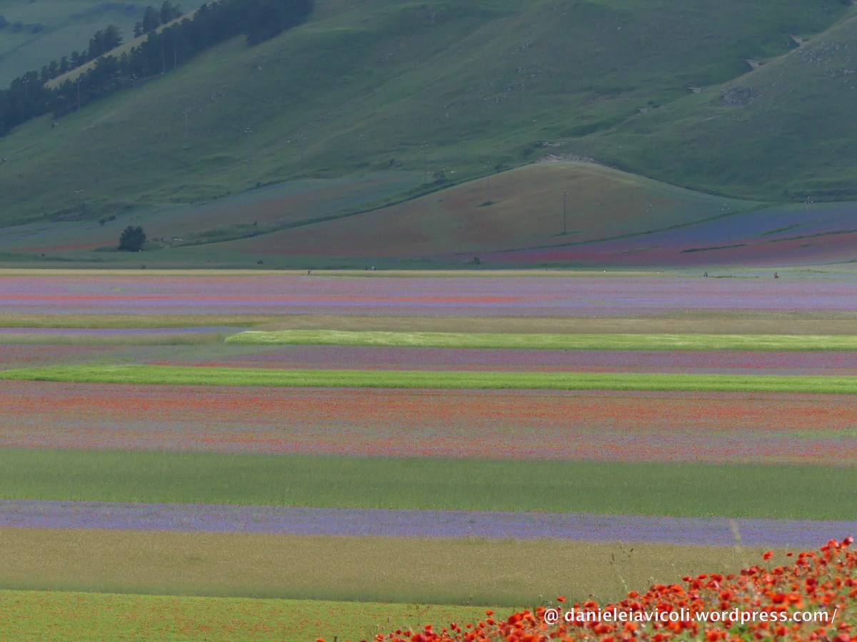 Da Castelluccio di Norcia a Palazzo&nbsp;Borghese