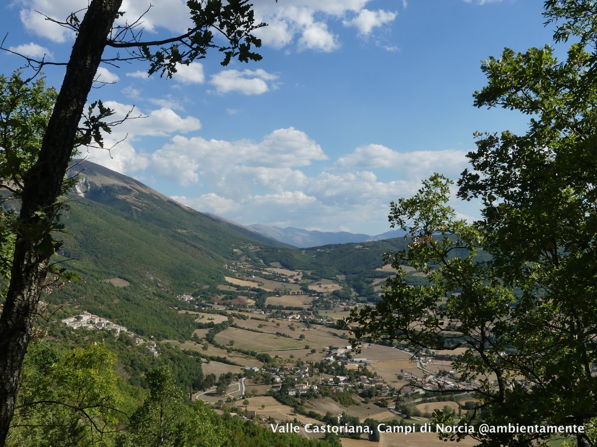 Cammino nelle Terre&nbsp;Mutate