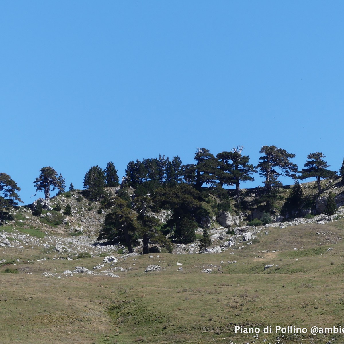 Itinerari di Particolare&nbsp;Valenza