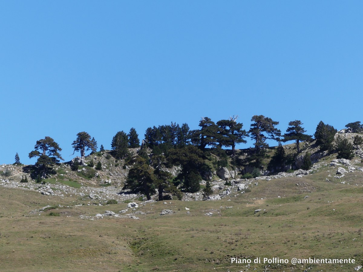 Itinerari di Particolare&nbsp;Valenza