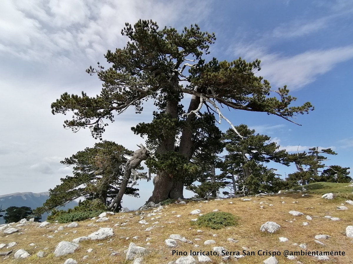 Un pellegrinaggio laico