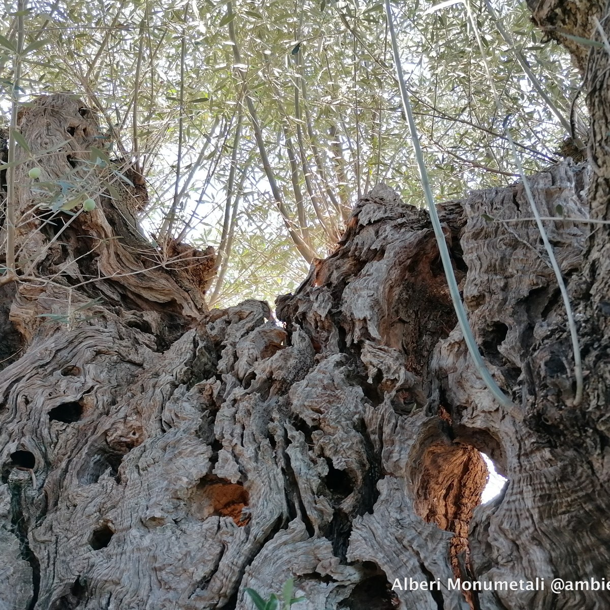 Arte e natura a Giano dell’Umbria.