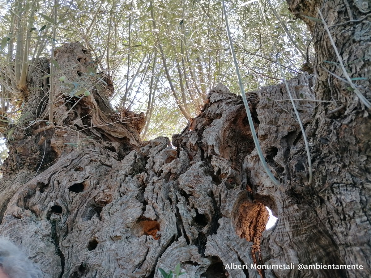 Arte e natura a Giano dell’Umbria.