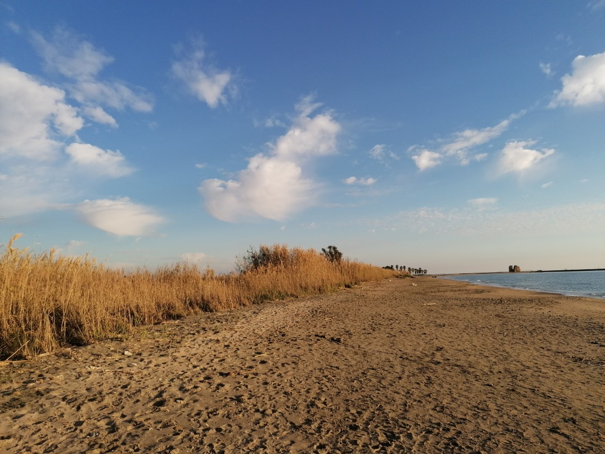 Monumento Naturale Palude di Torre&nbsp;Flavia