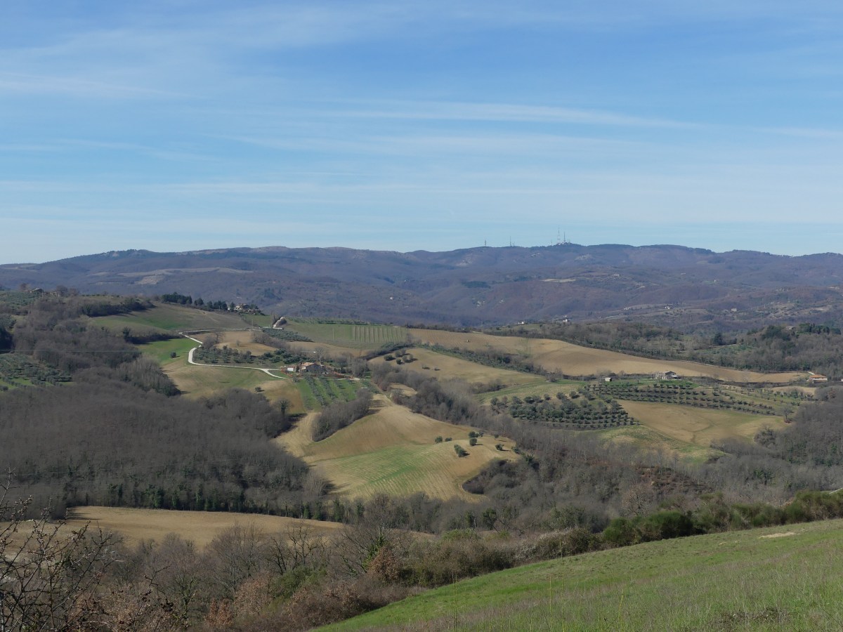 Camminare fa bene alla&nbsp;salute.