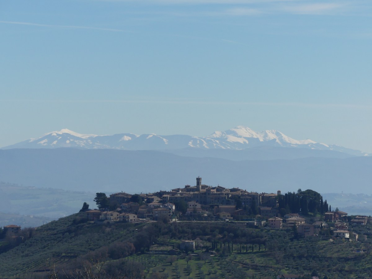 Balestrucci a Monte Castello di&nbsp;Vibio