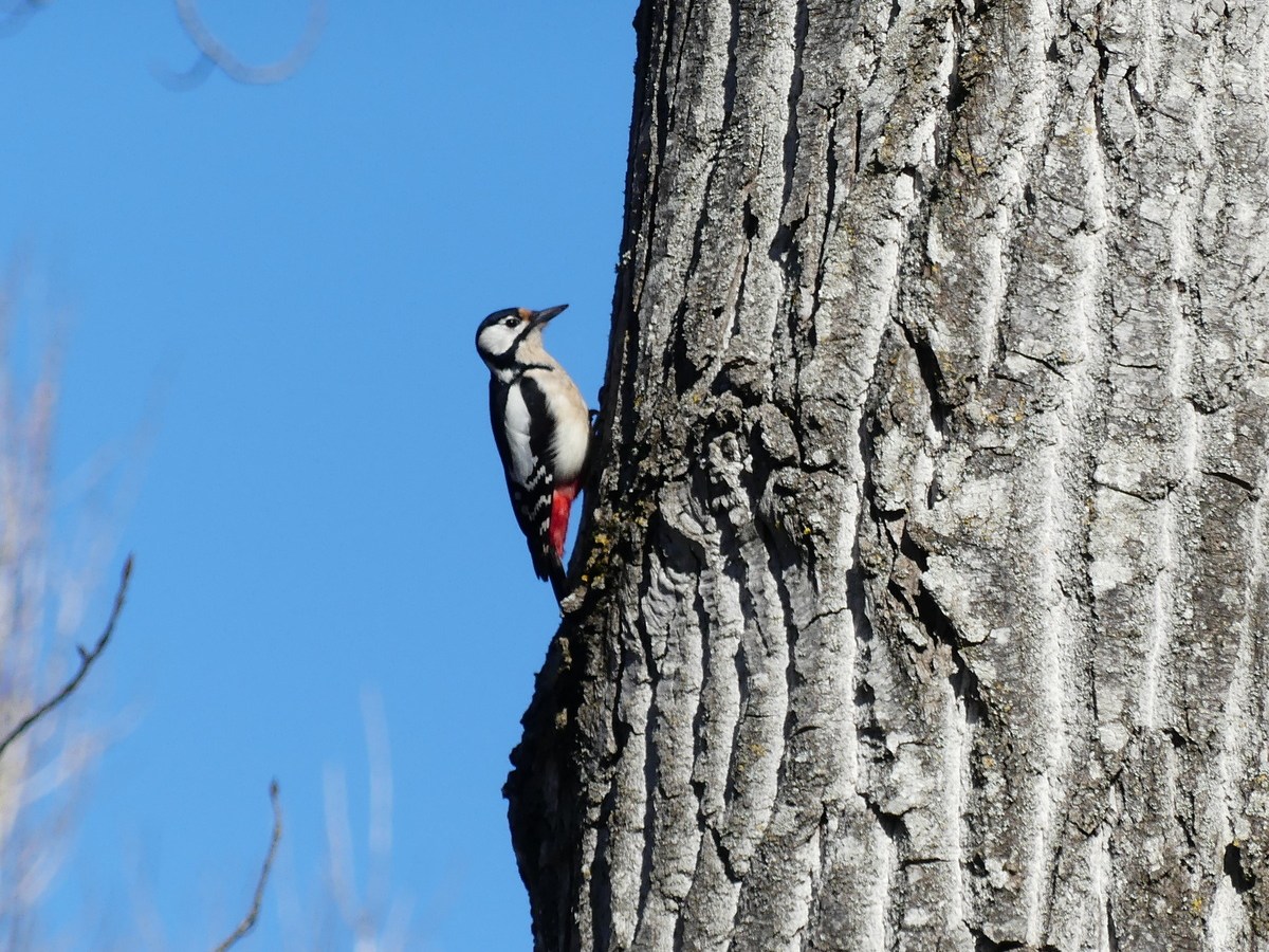 Uomo avvisato, mezzo&nbsp;salvato