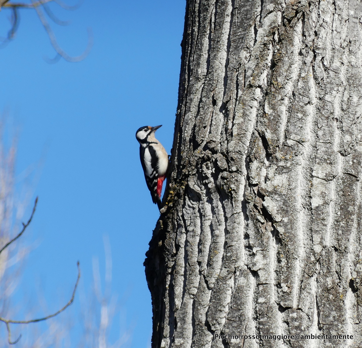 Uomo avvisato, mezzo&nbsp;salvato