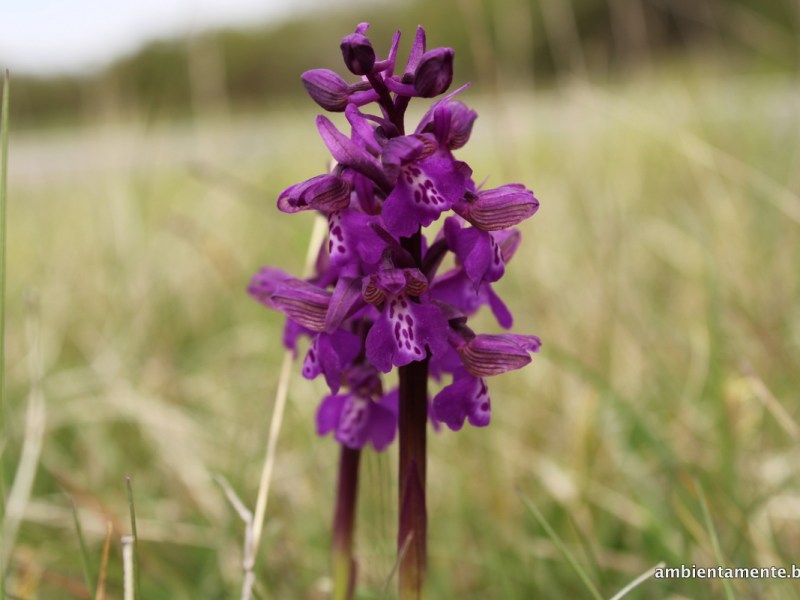 Portami con te, ma solo come foto ricordo&nbsp;!