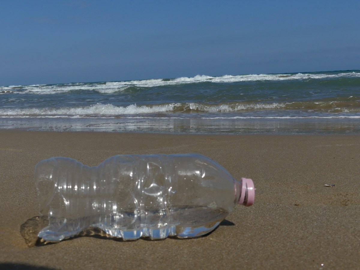 Anche se voi vi credete&nbsp;assolti.