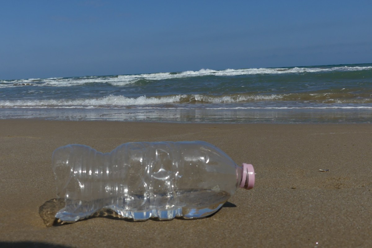 Anche se voi vi credete&nbsp;assolti.