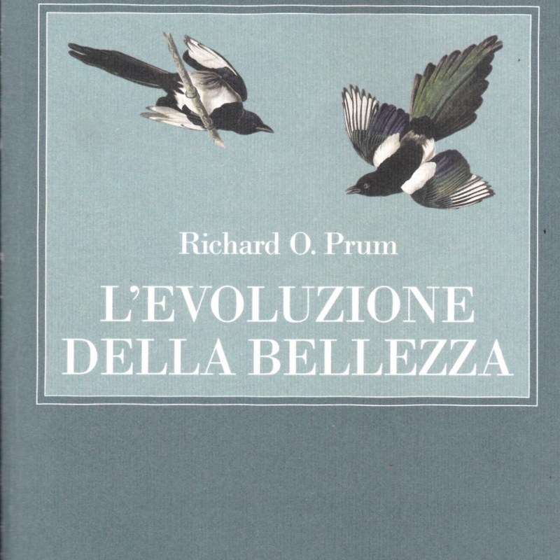 L’evoluzione della bellezza