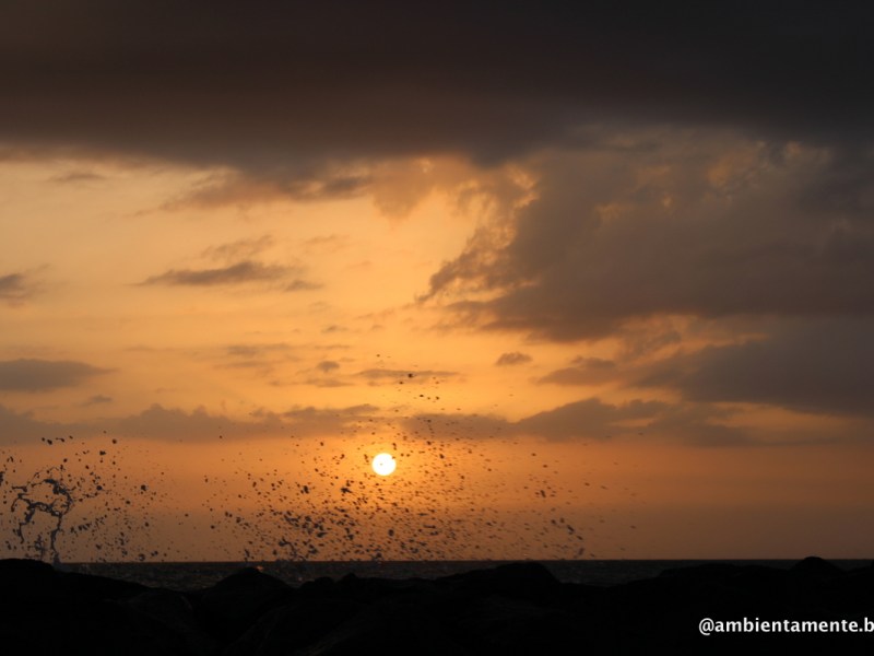 In un Mare di&nbsp;guai