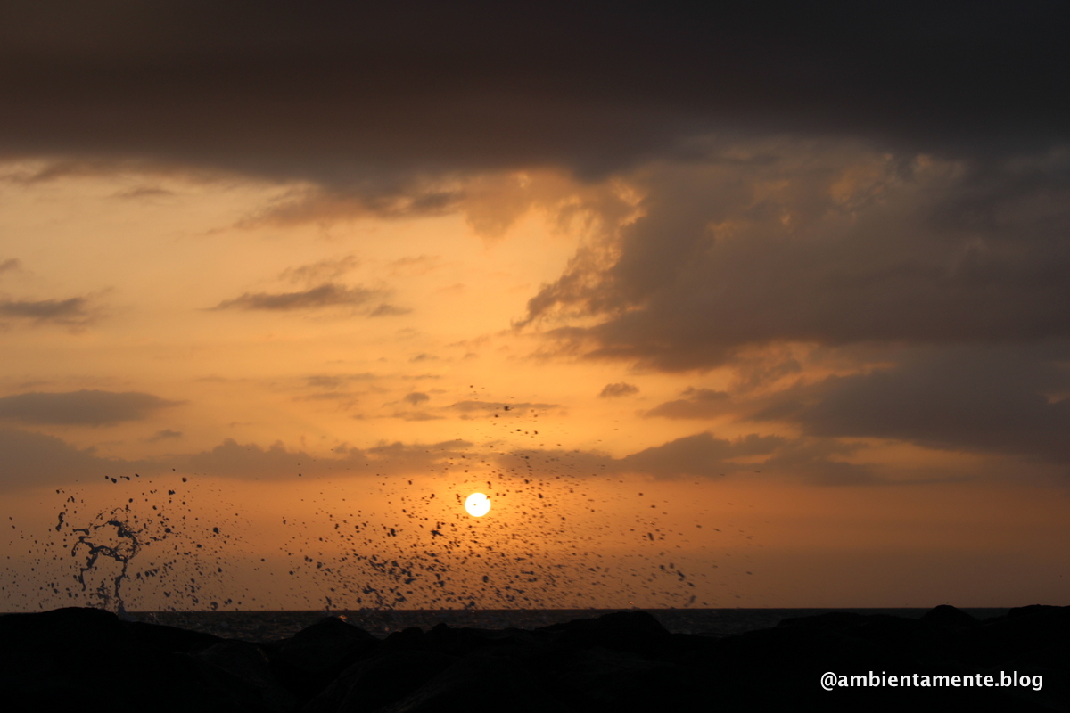 In un Mare di&nbsp;guai