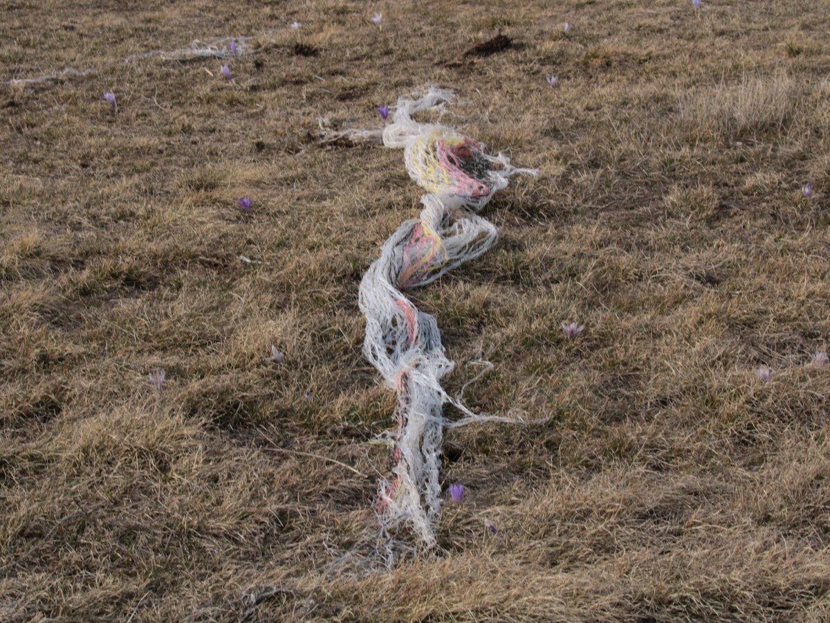 A che punto siamo con la&nbsp;plastica?
