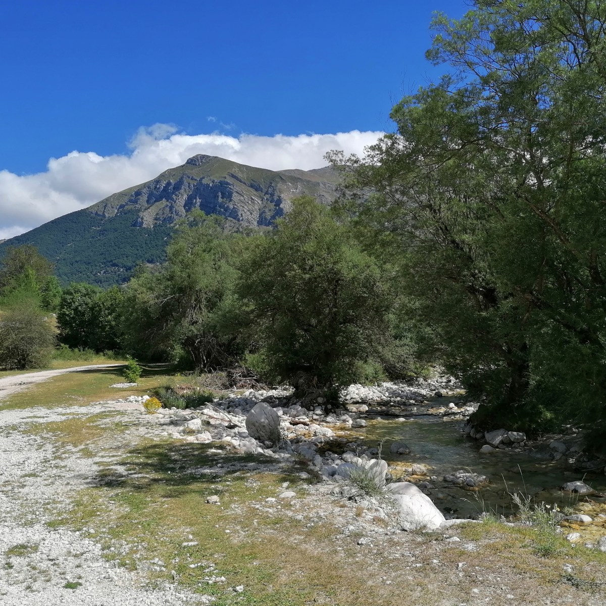 Cent’anni da festeggiare