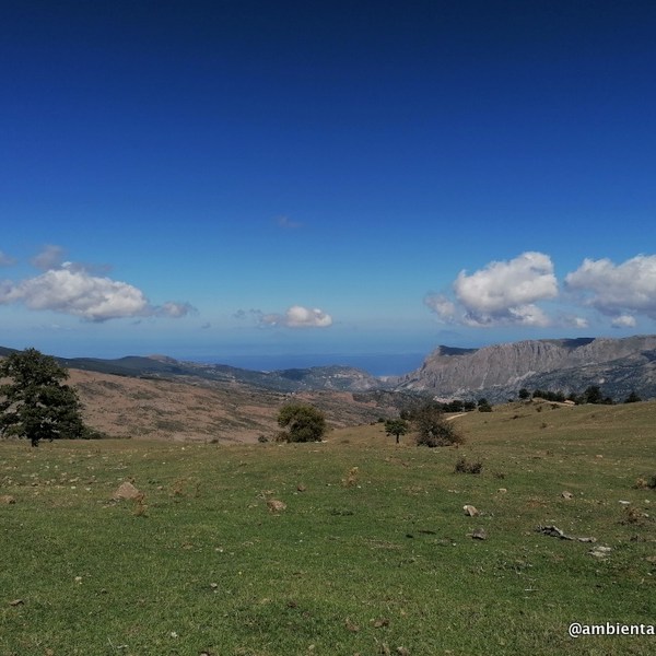 Nel Parco dei&nbsp;Nebrodi