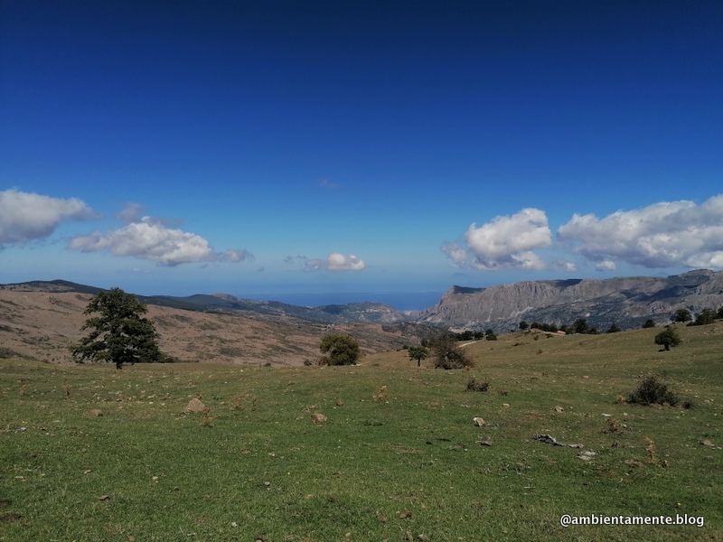 Nel Parco dei&nbsp;Nebrodi
