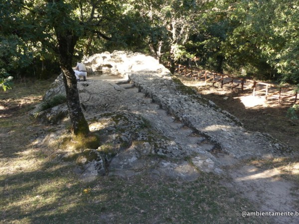 La sedia del re ed il bidet della&nbsp;regina