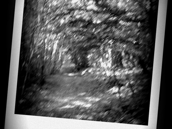 L’illusione della realtà