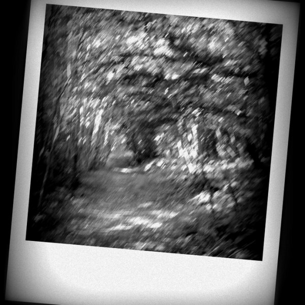 L’illusione della realtà