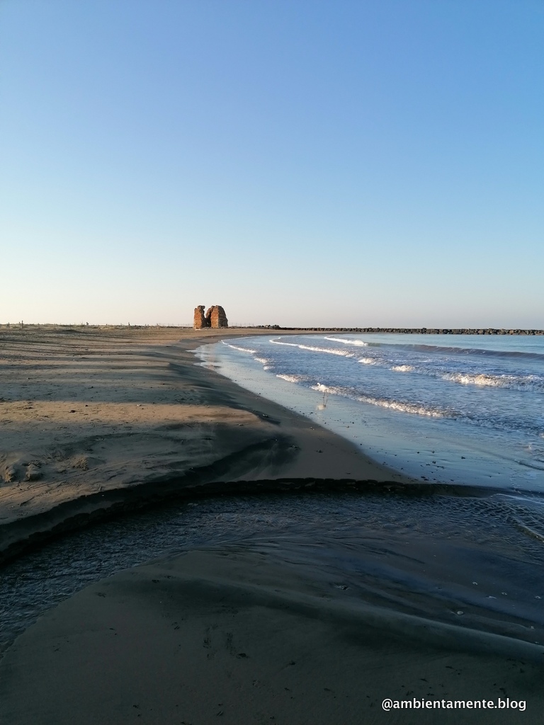 Un hotspot di&nbsp;biodiversità