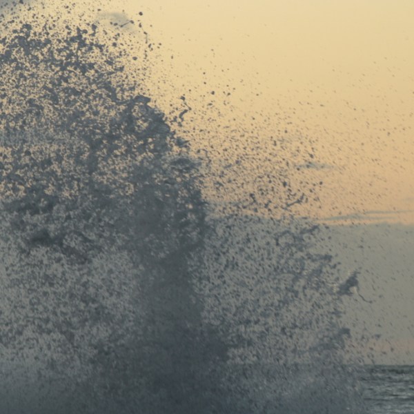 La rete della&nbsp;vita