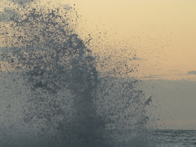 La rete della&nbsp;vita