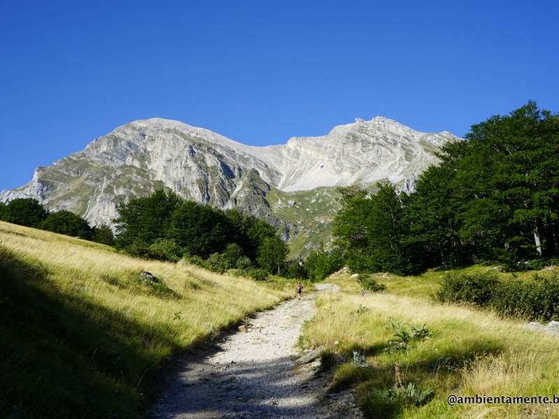 Escursione in Val&nbsp;Maone.