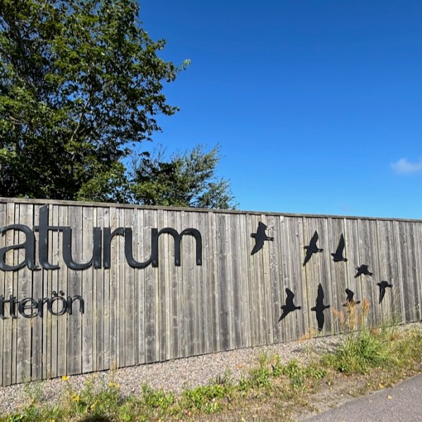 La stazione ornitologica di&nbsp;Getterön