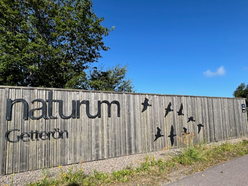 La stazione ornitologica di&nbsp;Getterön