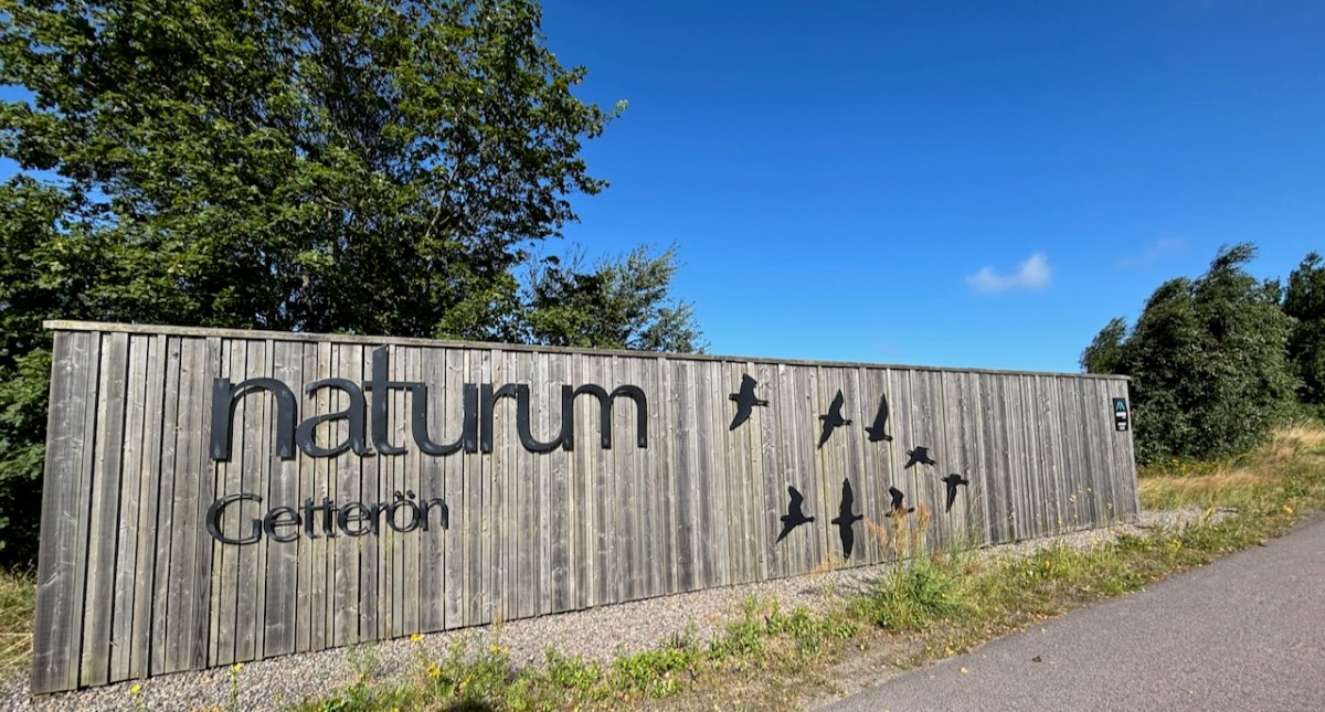 La stazione ornitologica di&nbsp;Getterön